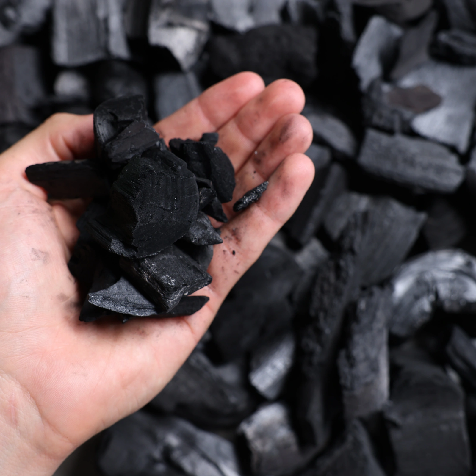 Carbon dioxide text on grass - Carbon Neutral Future